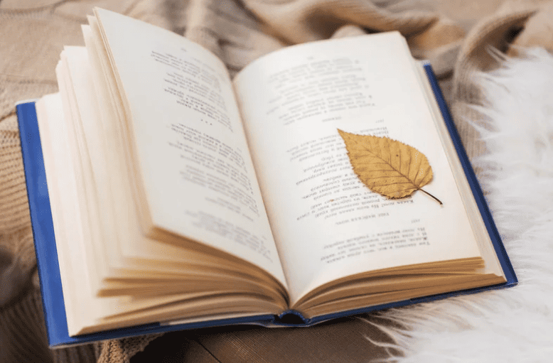 fete des mamies poeme