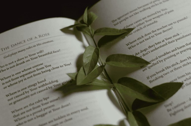 poeme pour mamie decede