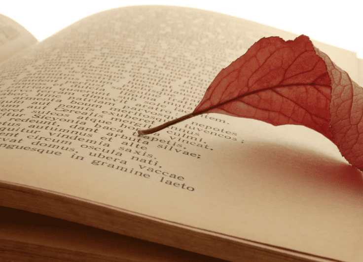 poeme saint valentin amitie