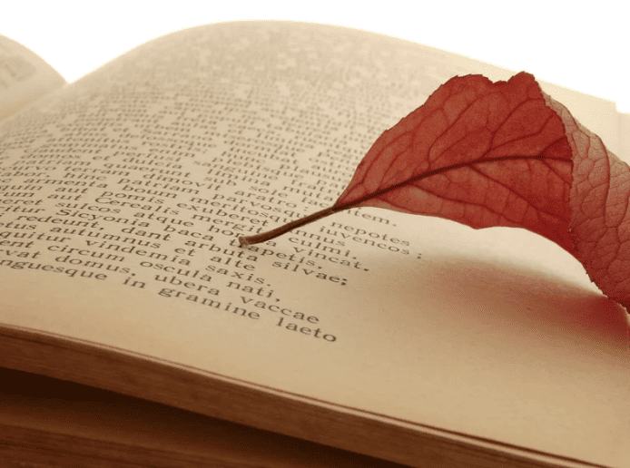 Poème St Valentin amitié : idées et exemples 1 poeme st valentin amitie
